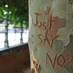 Carving Pyrography - shallow focus photography of just say no carved on tree trunk