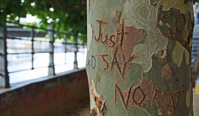 Carving Pyrography - shallow focus photography of just say no carved on tree trunk