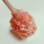 Experimental Carving - pink flower on white surface