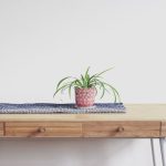 Coffee Table - plant on top of beige wooden desk with 2-drawer chest