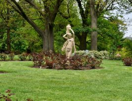 Transforming Your Garden with Stunning Wooden Sculptures